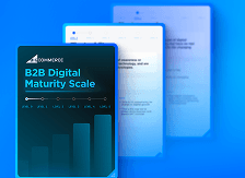 Grafico della scala di maturità digitale B2B che mostra le fasi di crescita e le metriche di performance.